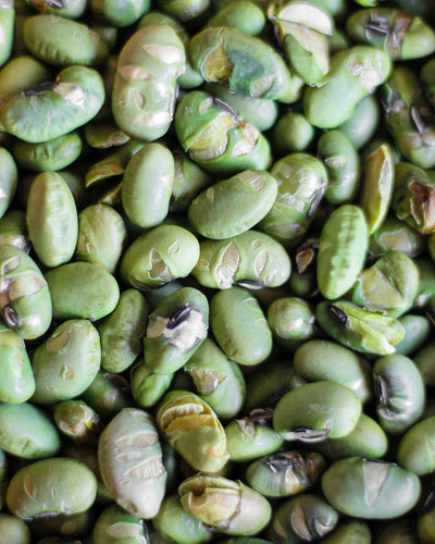 Edamame tostati e salati perfetti per il tuo spuntino proteico